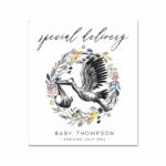 Special Delivery Stork